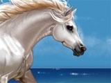 Equiverse Equiverse