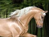 Horse Eden Horse Eden