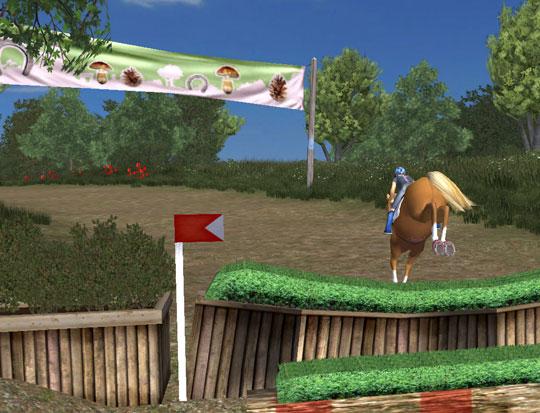 The Finish Line in Planet Horse The Finish Line in Planet Horse