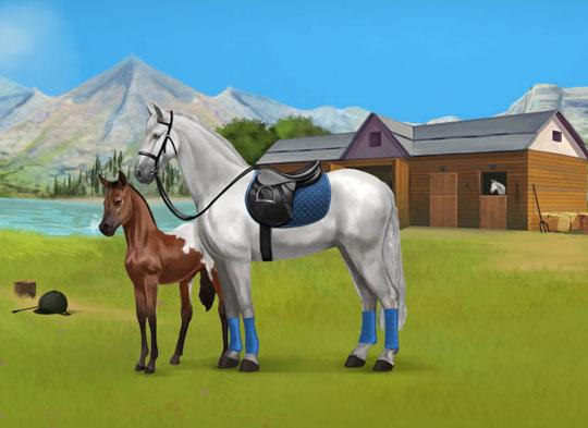 Build your Perfect Stable in Howrse Build your Perfect Stable in Howrse