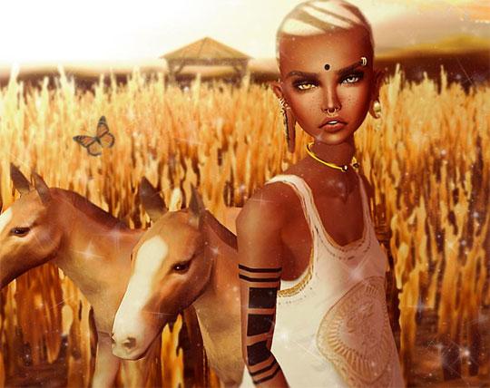 Gorgeous Foals in IMVU Gorgeous Foals in IMVU