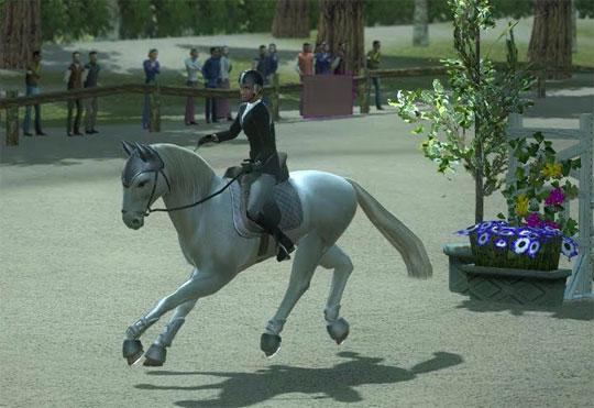 Fantastic Stallion in Ride:Equestrian Simulation Fantastic Stallion in Ride:Equestrian Simulation