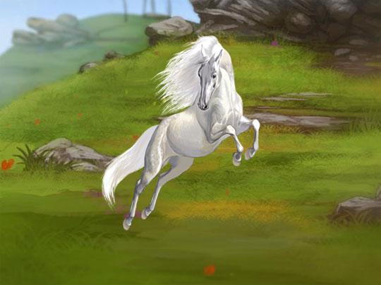 Gorgeous Stallion in Howrse Gorgeous Stallion in Howrse