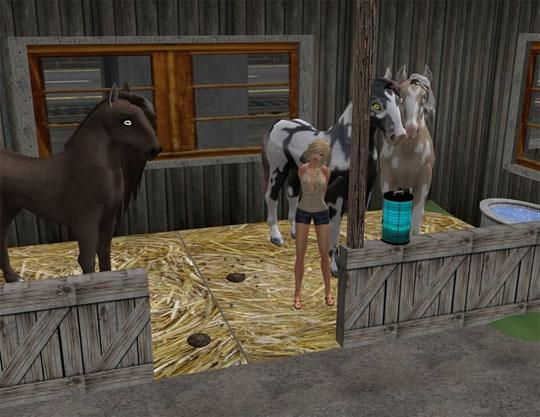 Your Own Stable in Second Life Your Own Stable in Second Life
