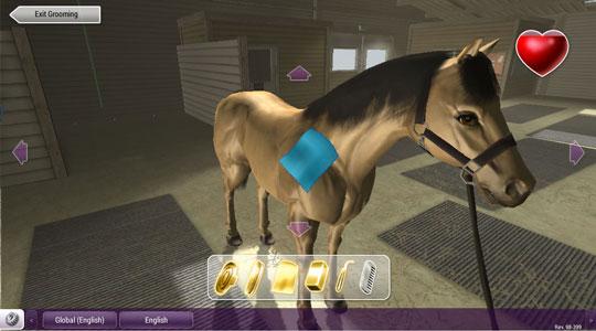 Groom Your Horse in Riding Club Championships Groom Your Horse in Riding Club Championships