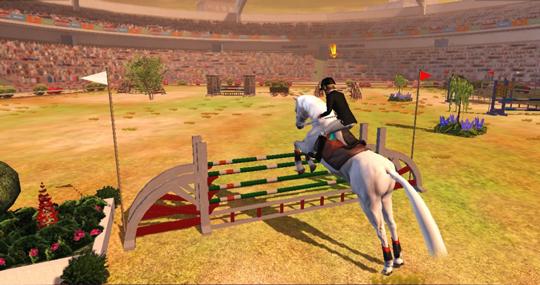 Compete in Showjumping Events in Riding Club Championships Compete in Showjumping Events in Riding Club Championships