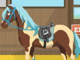 Horse Academy Horse Academy