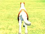Pony Horse Kids Race 3D: Racing Pony Horse Kids Race 3D: Racing