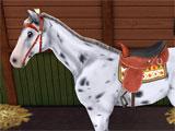 Cleaning up horses in Horse World 3D: My Riding Horse Horse World 3D: My Riding Horse cleaning up horses