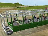 Racers in Horse Academy Horse Academy Racers