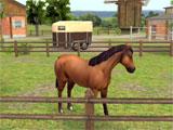 Gameplay of HorseWorld: Show Jumping HorseWorld: Show Jumping gameplay