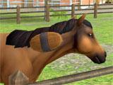 Cleaning up the horse in HorseWorld: Show Jumping HorseWorld: Show Jumping cleaning up the horse