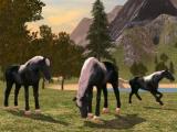 Family of horses in Horse Family Simulator Family of horses in Horse Family Simulator
