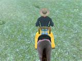 Looking for flags in Horse Racing League 2017 Horse Racing League 2017 looking for flags