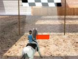 The finish line in Horse Jumping 3D The finish line in Horse Jumping 3D
