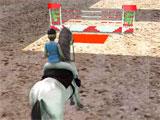 Horse Jumping 3D: Approaching a jump Horse Jumping 3D: Approaching a jump