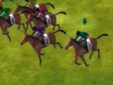 Bird's eye camera view in Horse Racing Adventure Bird's eye camera view in Horse Racing Adventure