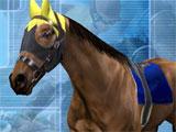 Customizing your horse in Gallop Racer 2006 Customizing your horse in Gallop Racer 2006