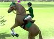 Ride: Equestrian Simulation game Ride: Equestrian Simulation game