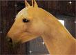 Planet Horse game Planet Horse game