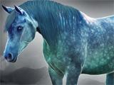 Amazing Horses Adopt Amazing Horses on Horse Land