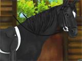 Pet Your Horses Pet And Play With Your Horses on Horse Land