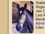 Horse Eden Stable Page Monitor your horses in Horse Eden