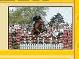 My Stable Show Show off your horse in My Stable
