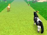 Approaching another horse in My Pony Horse Riding My Pony Horse Riding approaching another horse