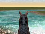 Stream in 3D Horseback Trail Ride 3D Horseback Trail Ride Stream