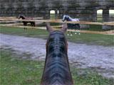Other Horses in 3D Horseback Trail Ride 3D Horseback Trail Ride Other Horses