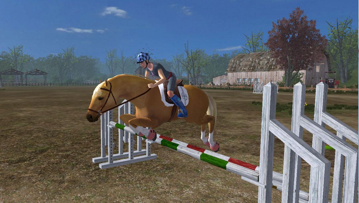 Horse Jumping Games Giochi di Cavalli Online Sondaggi