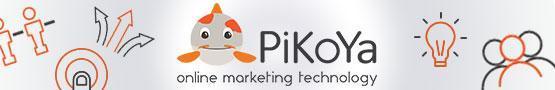 A Peek Behind the Curtains: The PiKoYa Games Network A Peek Behind the Curtains: The PiKoYa Games Network