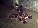 Let It Die Let It Die