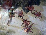Path of Exile Path of Exile