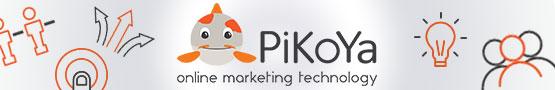 A Peek Behind the Curtains: The PiKoYa Games Network A Peek Behind the Curtains: The PiKoYa Games Network