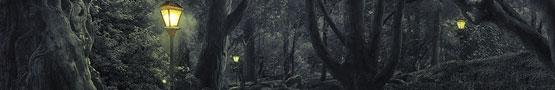 Why Horror Type Hidden Object Games are so Popular Why Horror Type Hidden Object Games are so Popular