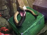 Snake in Darkness and Flame: Missing Memories Collector's Edition Darkness and Flame: Missing Memories Collector's Edition Snake