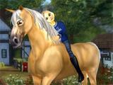Beautiful Star Stable Horse We Love our Star Stable Horse