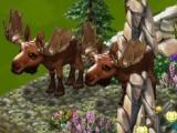 Zoo World Game Play Zoo World