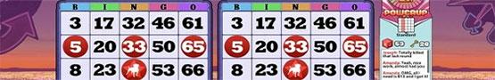 5 Amazing Bingo Games 5 Amazing Bingo Games
