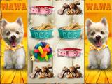 Puppy House Slots in Royal Casino Slots Royal Casino Slots Puppy House Slots