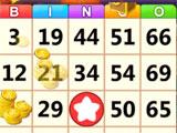Marking the Numbers in Bingo Carnival Marking the Numbers in Bingo Carnival