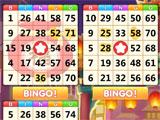 Bingo Carnival: Playing Bingo Bingo Carnival: Playing Bingo