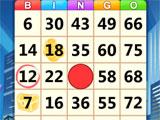 Bingo Win: Game Play Bingo Win: Game Play