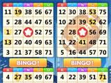 Playing with 3 Bingo Cards in Bingo Win Playing with 3 Bingo Cards in Bingo Win