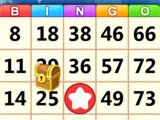 Bingo Win: Finding Treasures Bingo Win: Finding Treasures