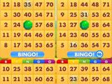 Playing with four cards in Bingo Kingdom Bingo Kingdom playing with four cards