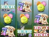 Fun slots machine Slots Billionaire Slots Billionaire fun slots machine