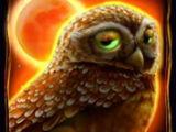 Wild Bonus on Wheel Slots Casino Fortune Wild Bonus on Wheel Slots Casino Fortune